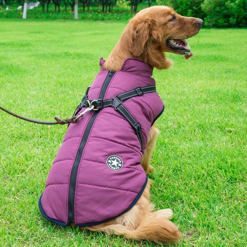 Waterproof Winter Jacket for Dogs