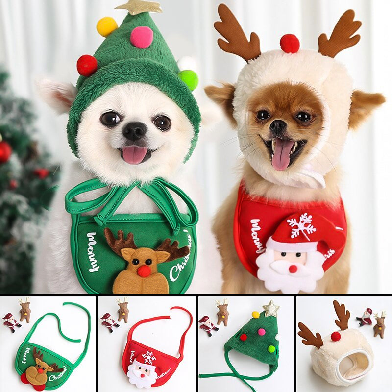 Christmas clothes for pets