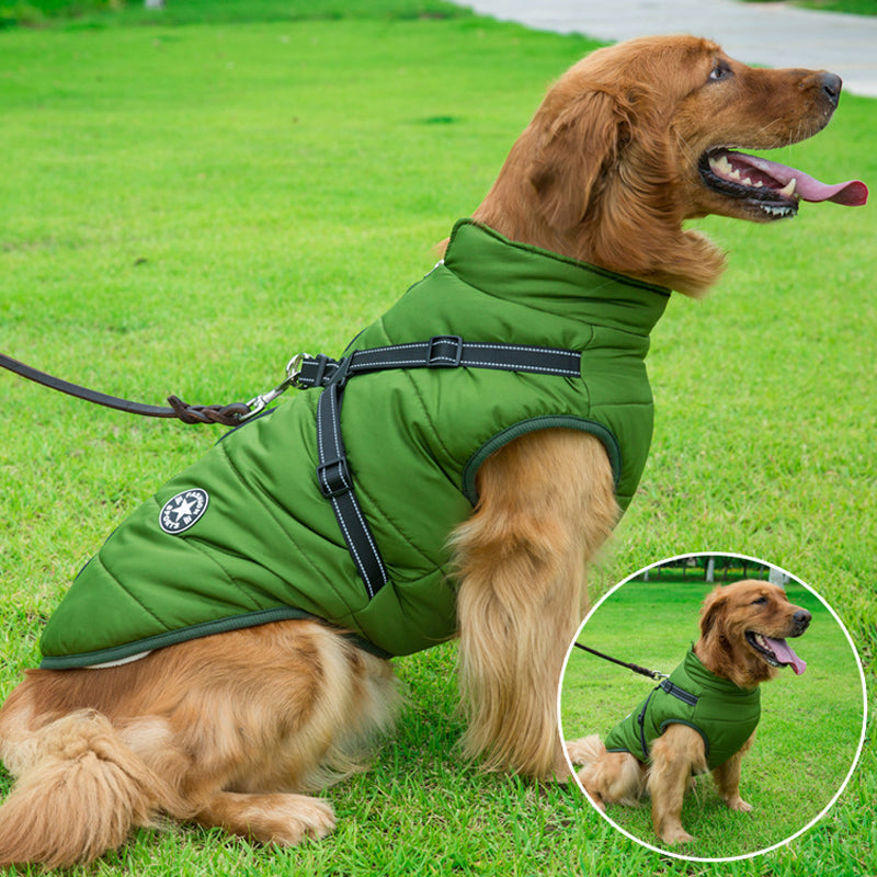 Waterproof Winter Jacket for Dogs