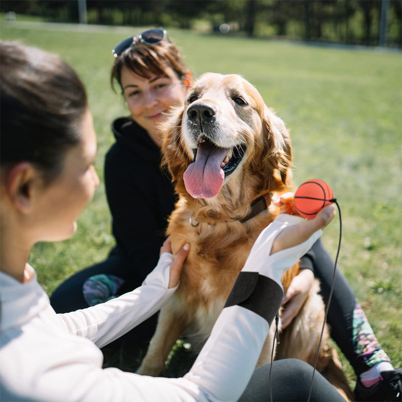 Wristband Rebound Ball