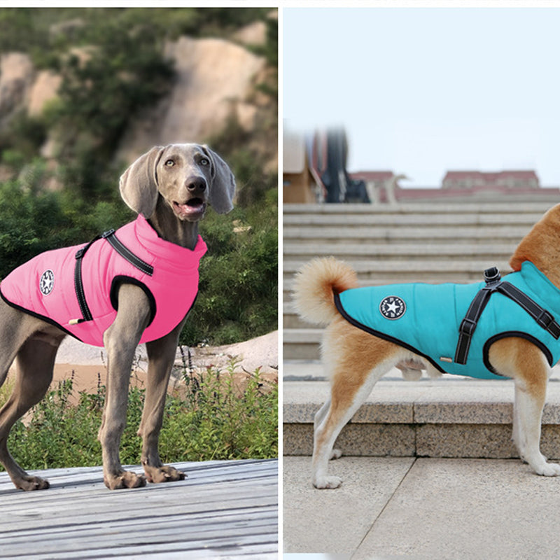 Waterproof Winter Jacket for Dogs