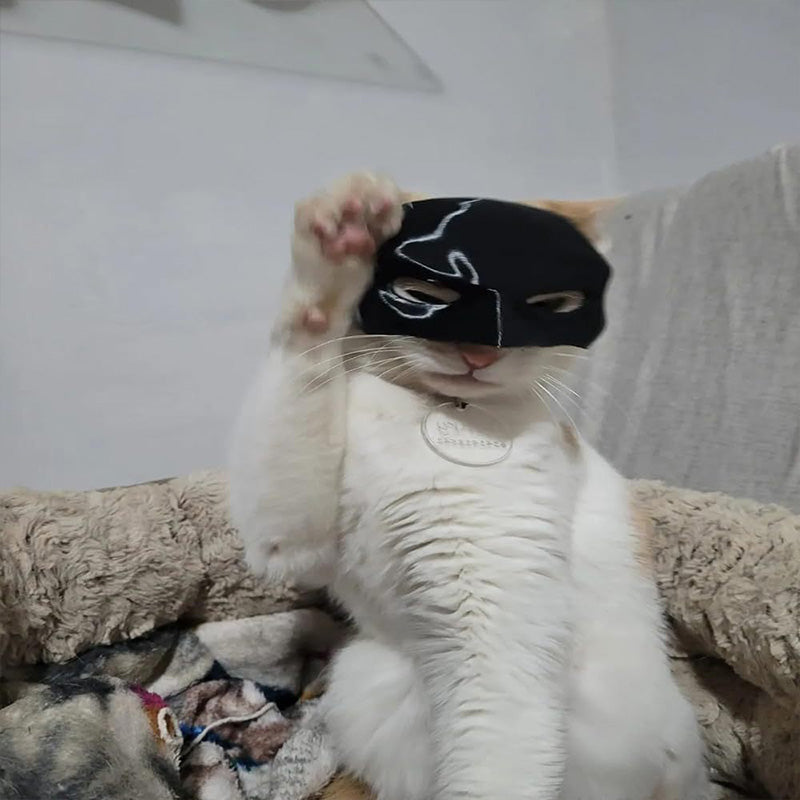 Bat Cat Avenger Mask