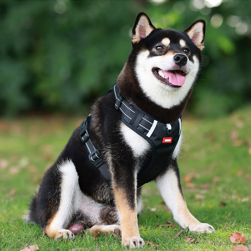 Reflective Dog Chest Strap