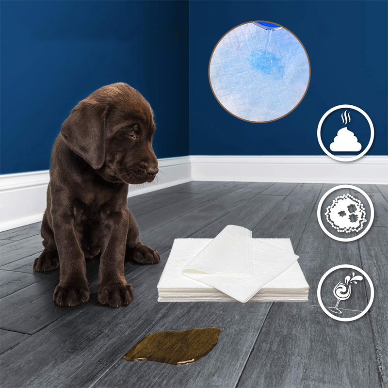 Pet Absorbent Paper(50pcs)