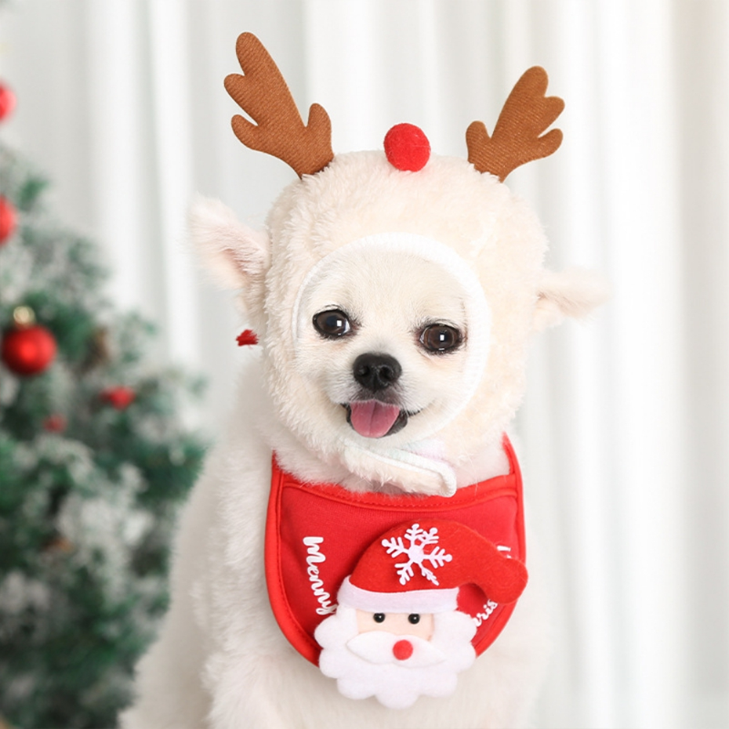 Christmas clothes for pets