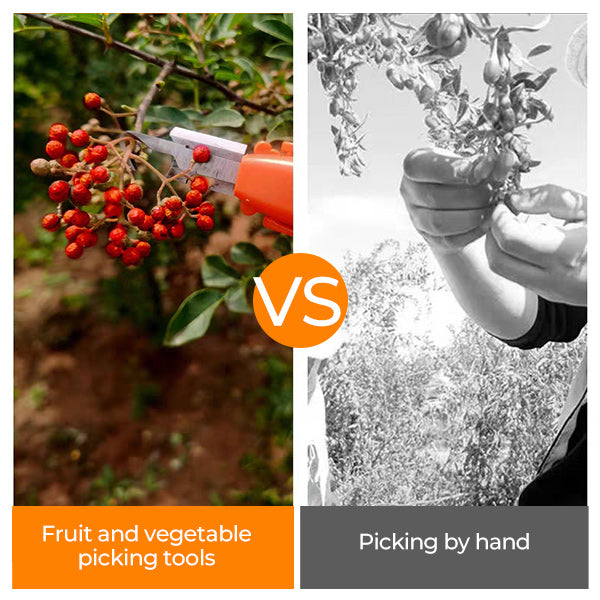 Professional pruner picker shears new vegetable fruit harvesting picking sharp hook tool