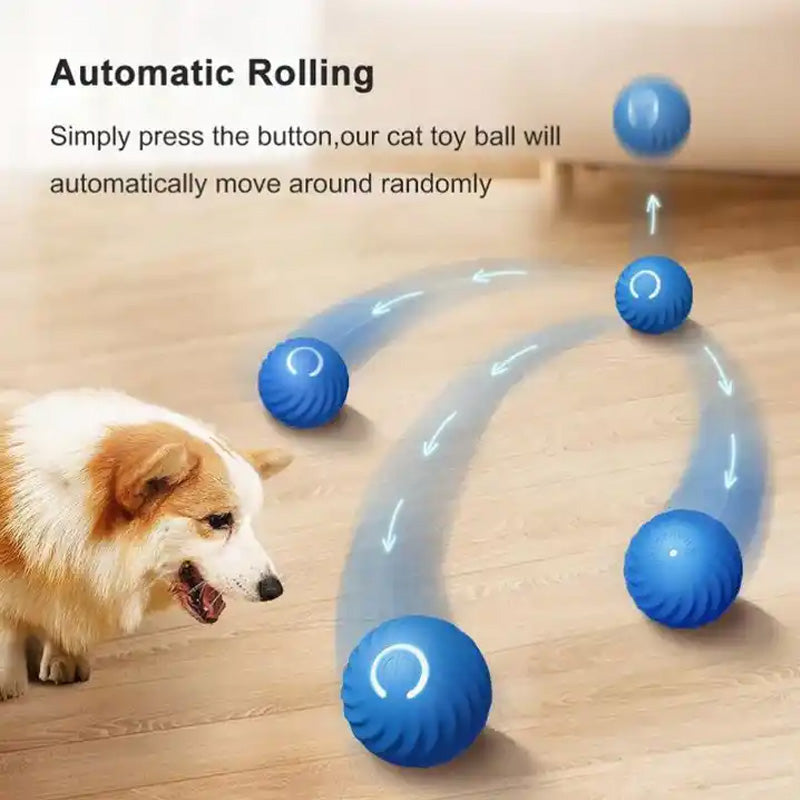 Automatic smart teasing dog ball that can't be bitten🐶