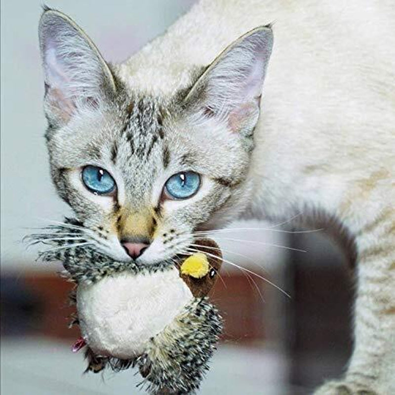 Flappy Chirping Bird Cat Toy（🏆 2024 Rated Cat Play Toy Innovation）