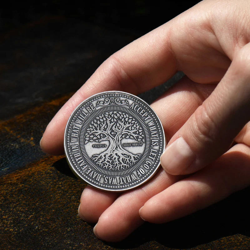 This Too Shall Pass Reminder Coin(5 pcs)