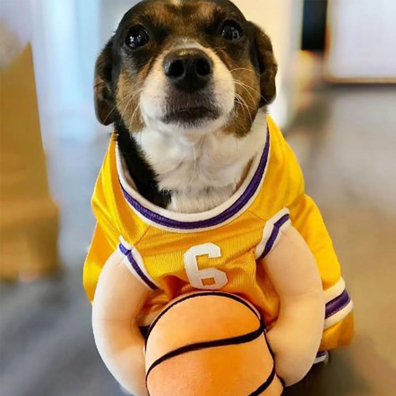 Dog Basketball Costume with Ball