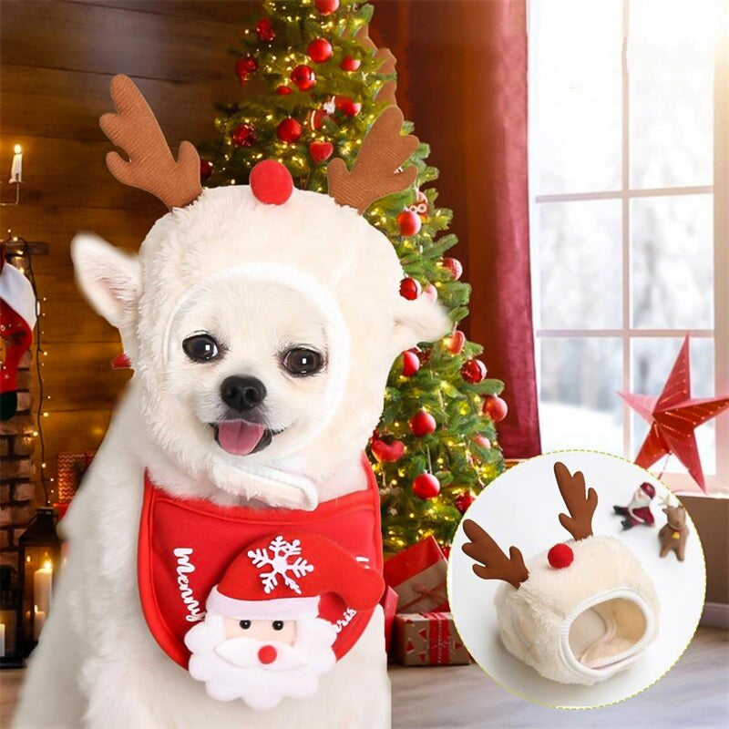 Christmas clothes for pets