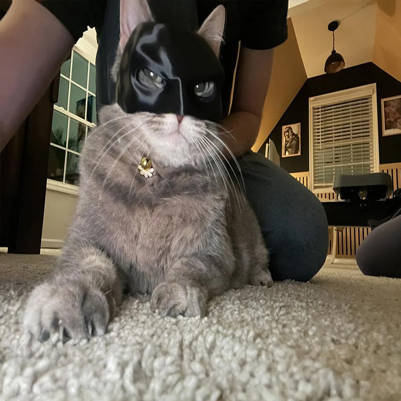 Bat Cat Avenger Mask