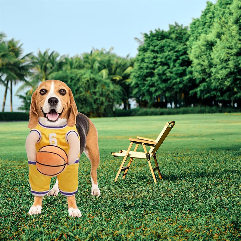 Dog Basketball Costume with Ball