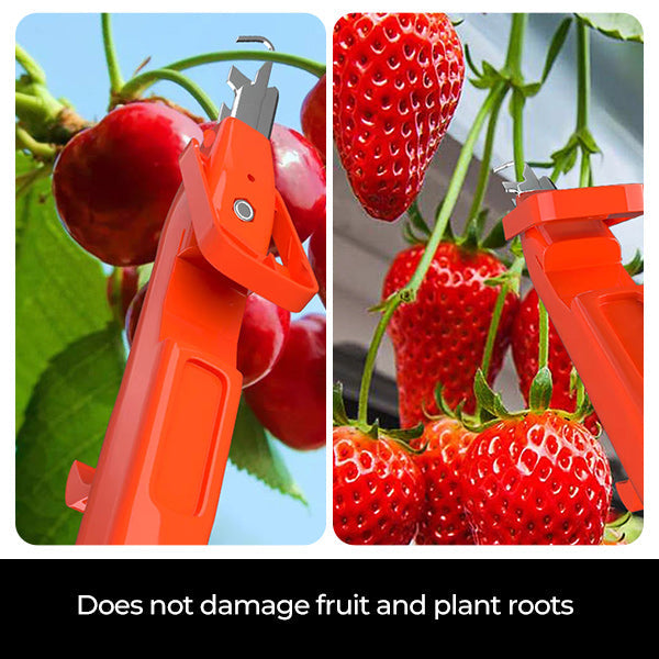 Professional pruner picker shears new vegetable fruit harvesting picking sharp hook tool