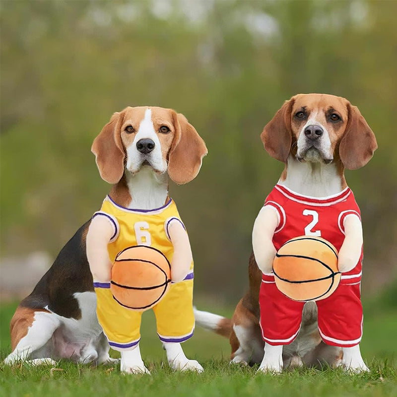 Dog Basketball Costume with Ball