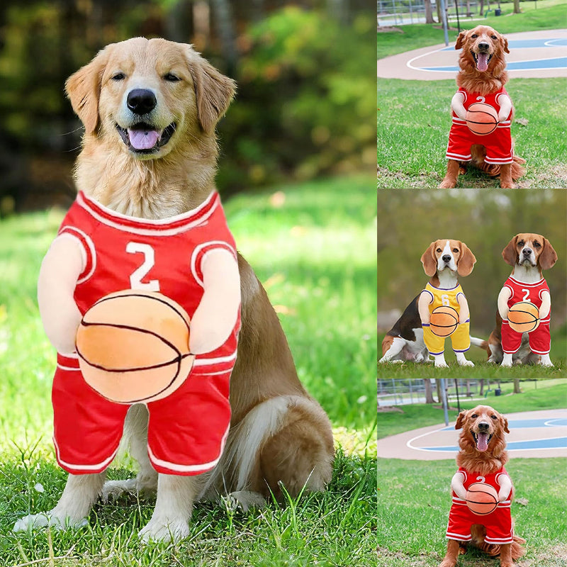 Dog Basketball Costume with Ball